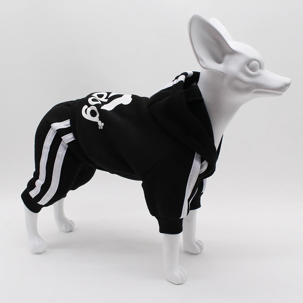 Brand Design Adidog Clothing