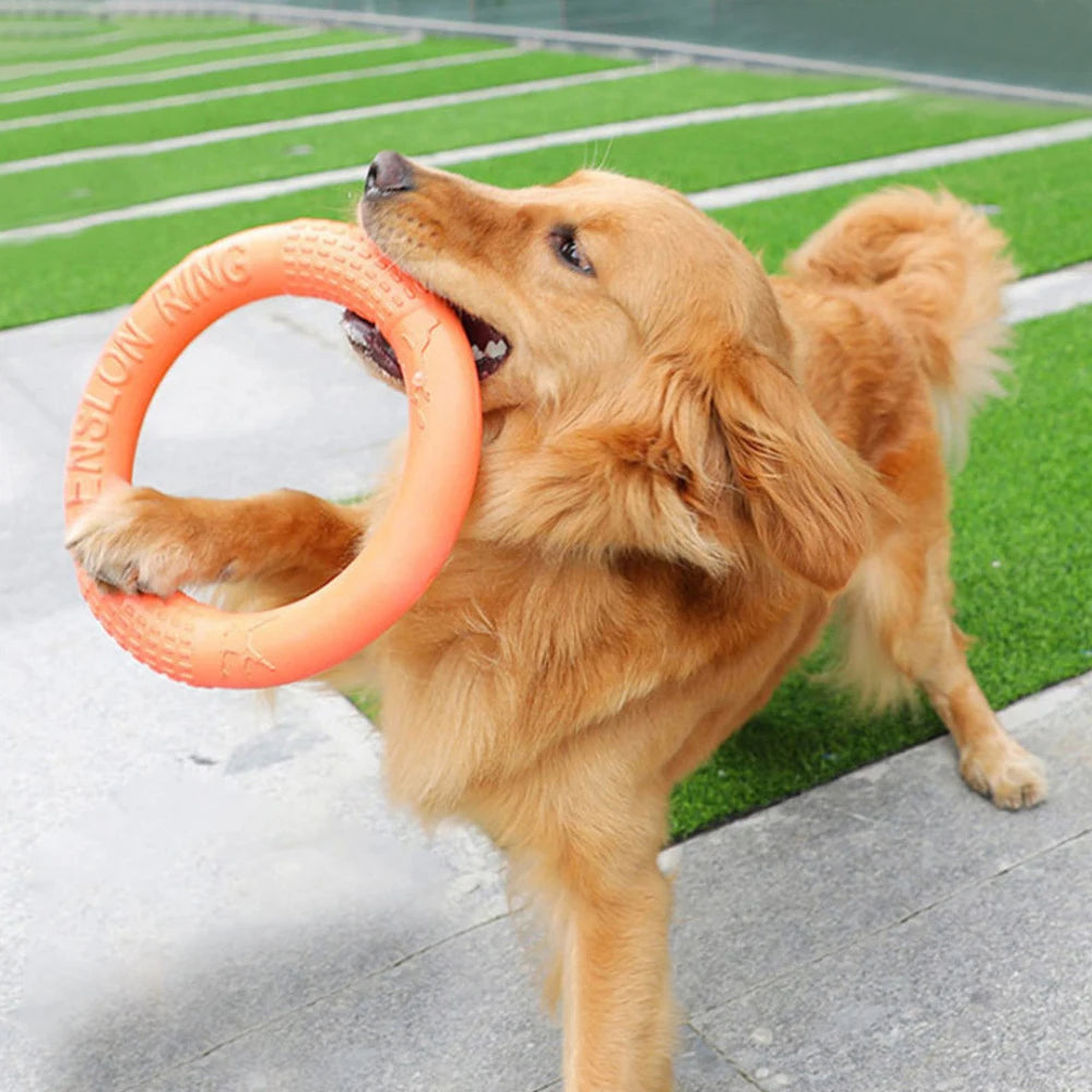 1pc Orange Dog Toys Pet Flying Disk