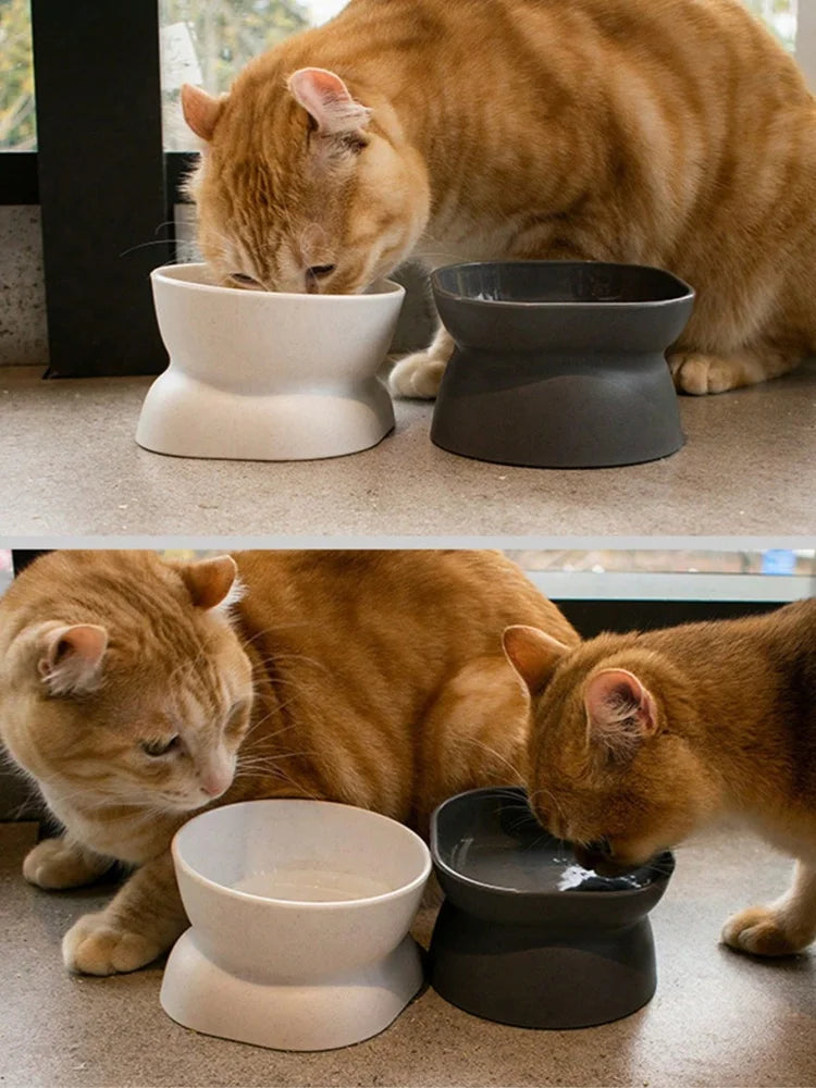 1Pc Pet bowl,
