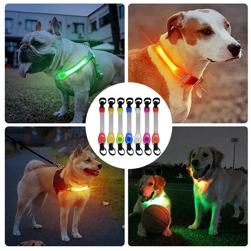 Waterproof Dog Anti-Lost Safety Glowing Collar