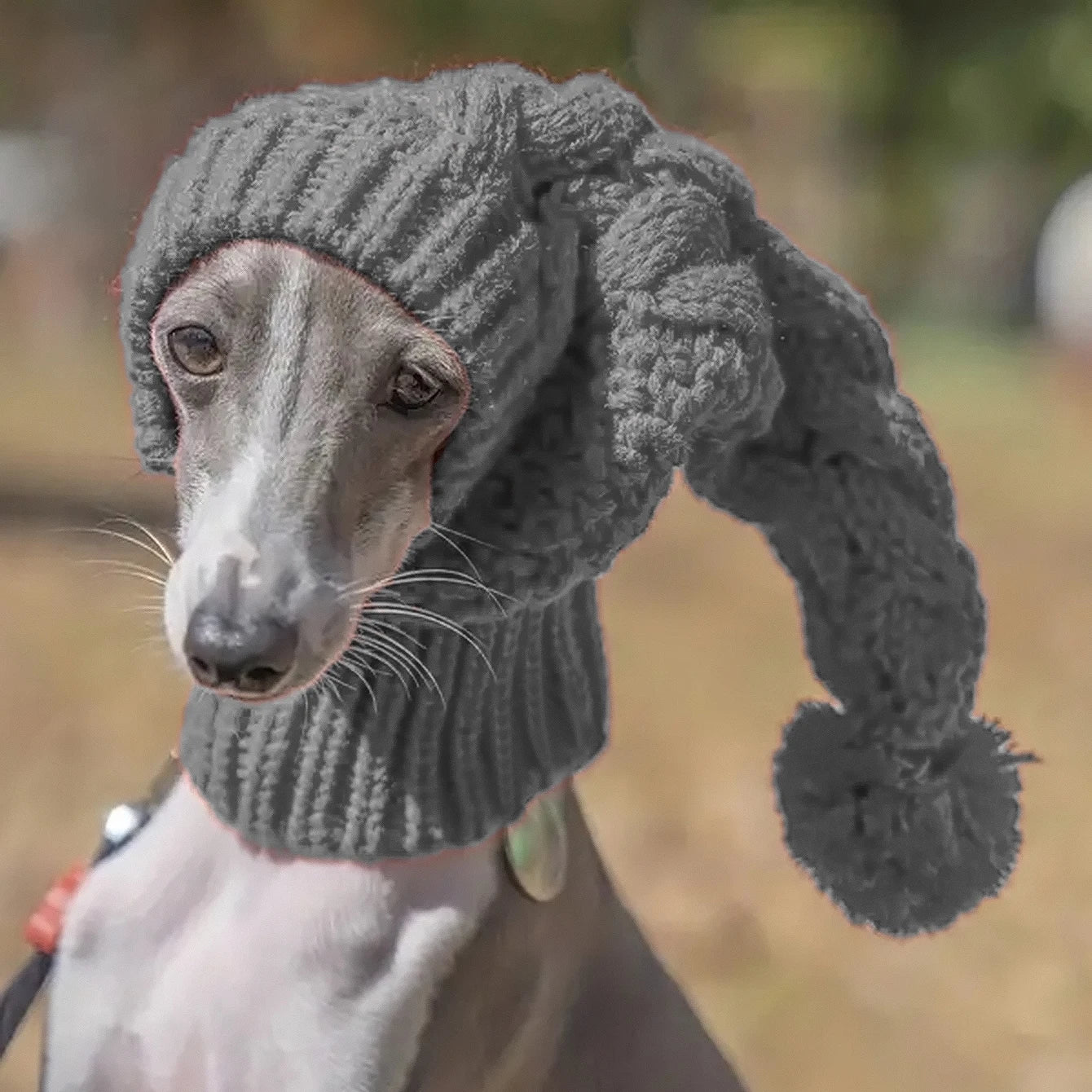 Hand knit winter wool greyhound large dog beanie