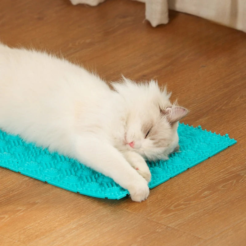 Pet Cat Hair Removal