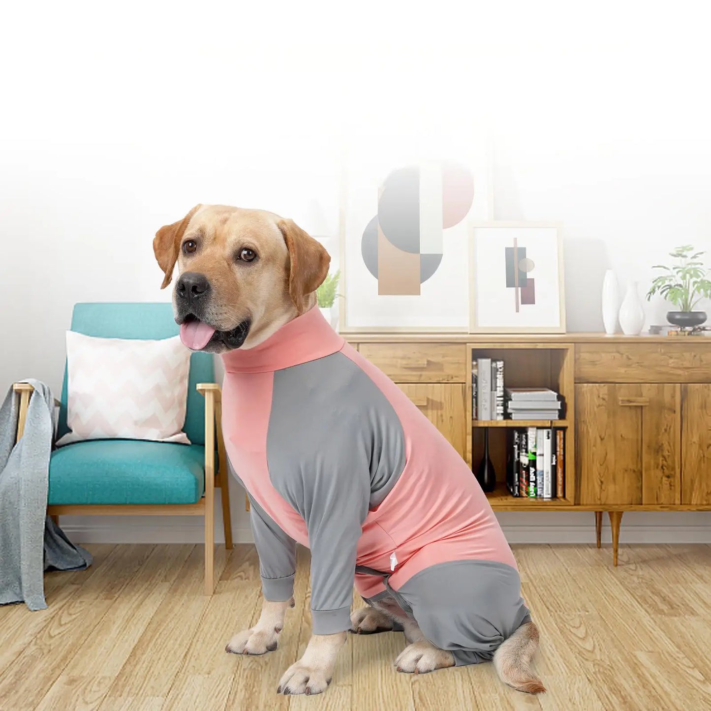 Double color blocking comfortable all-season pet dog suit