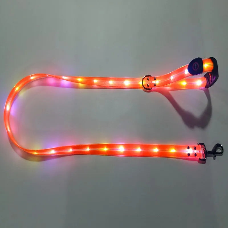 Pet Dog LED Light UP Leash
