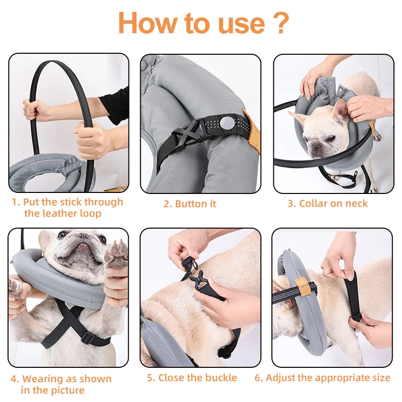 Blind Dog Collar