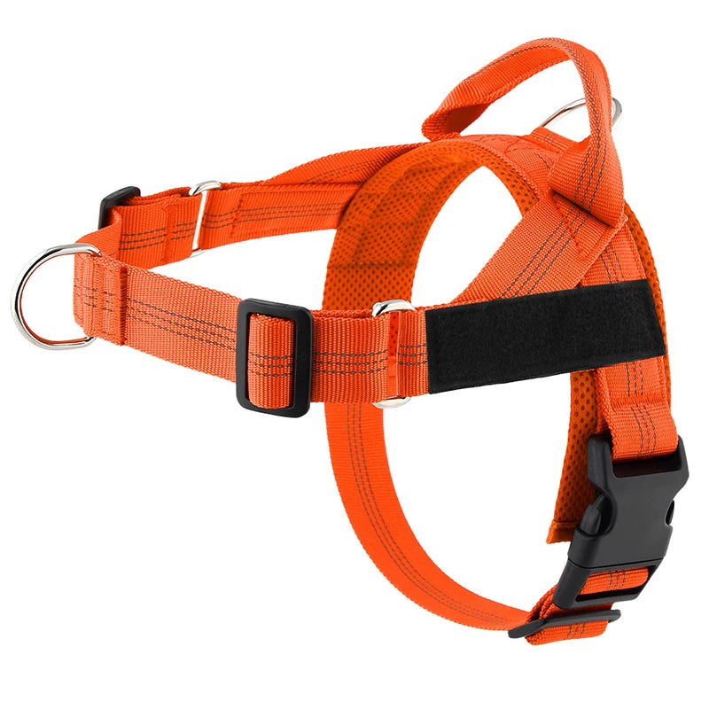 Personalized Reflective No Pull Harness