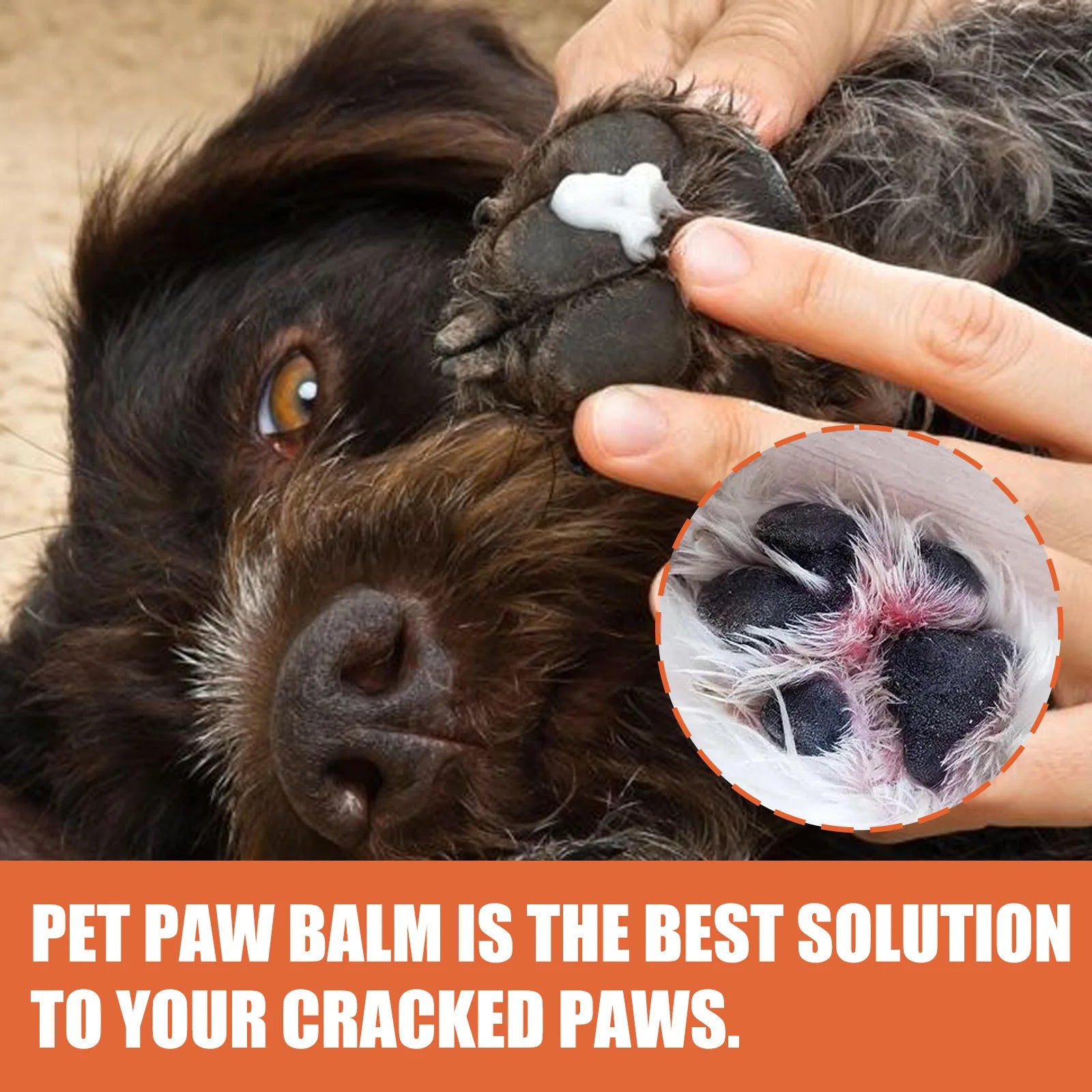 Pet Foot Cream Cat & Dog