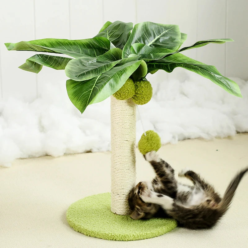 Cat Scratching Post