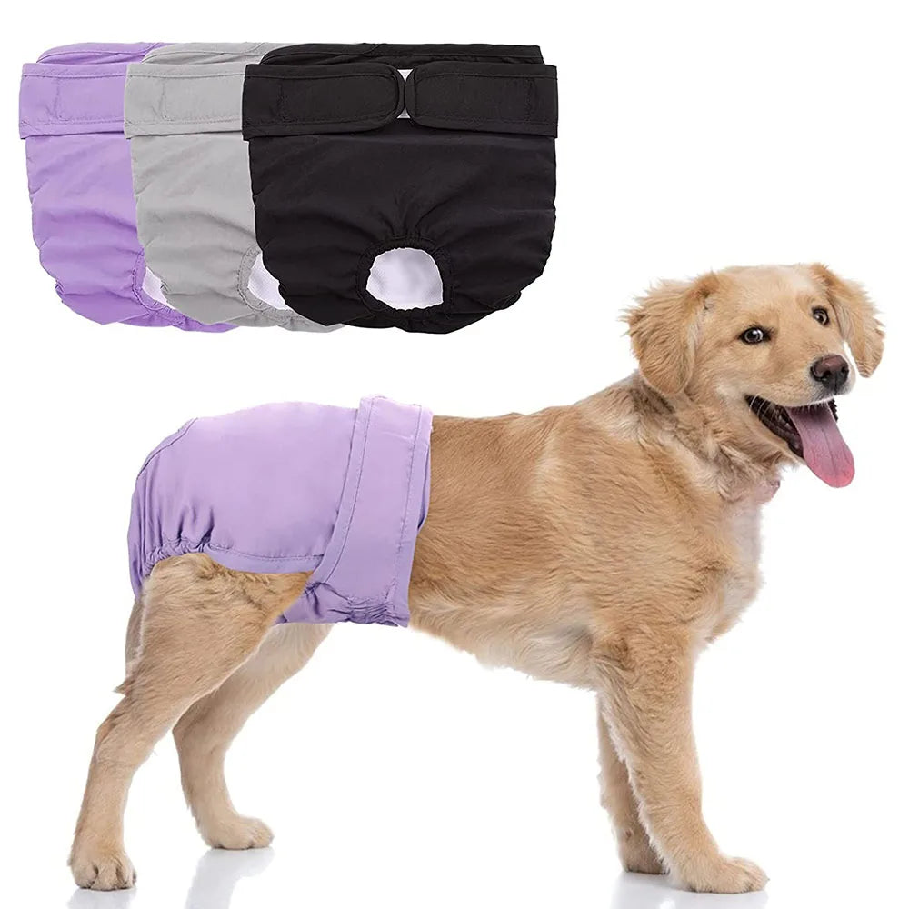 Dog Diaper