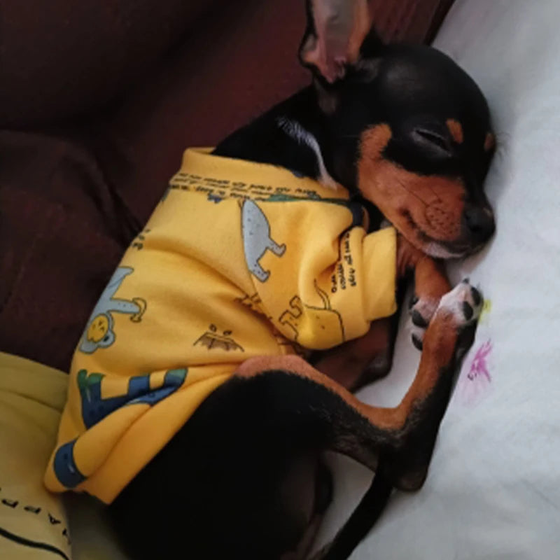 Xs Dog Clothes for Small Dogs