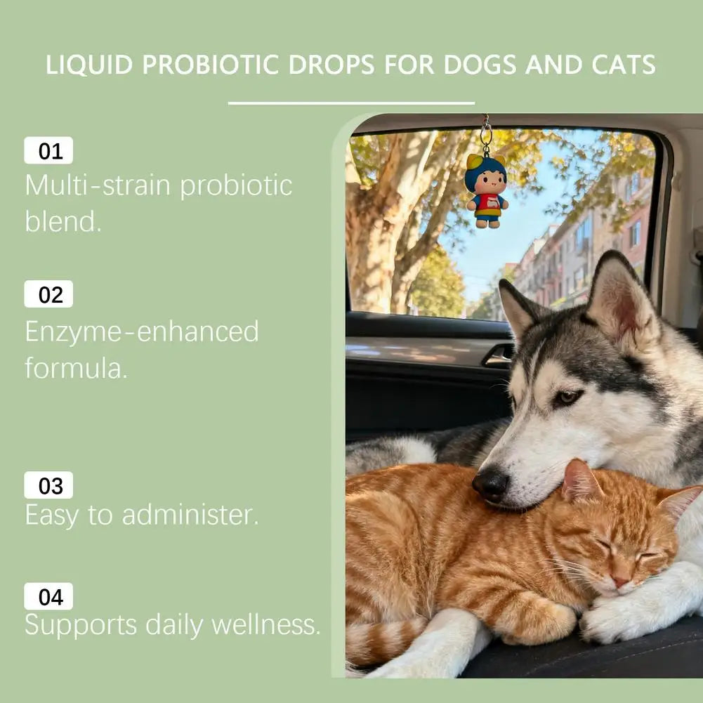 Pet Nutrition Supplement Probiotic