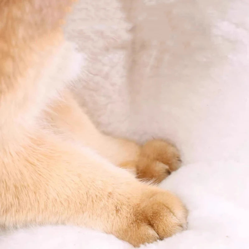 Pet Dog Cat House Kennel