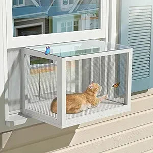 Cat Window Box,