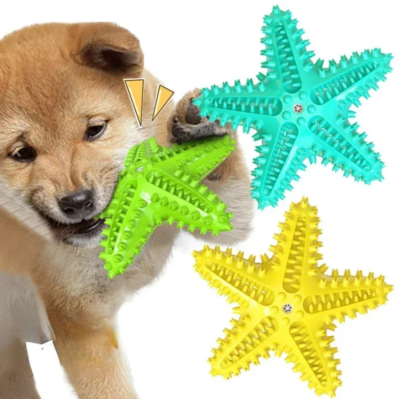Starfish Dog Toy