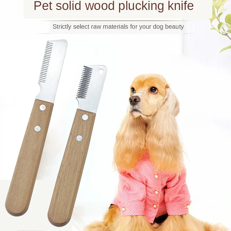 Professional Pet Hair Removal