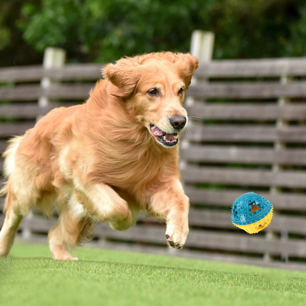 Dog Chew Toys