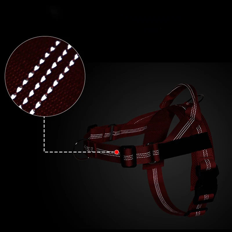Personalized Reflective No Pull Harness