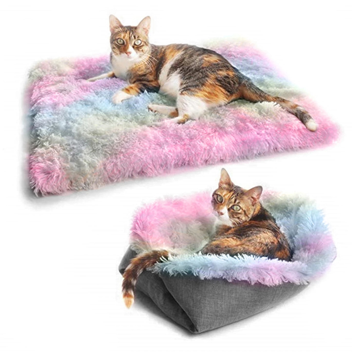 Bed for Cats