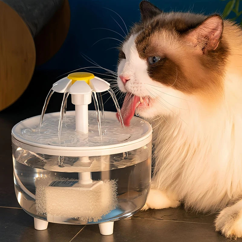 Pets Water Fountain