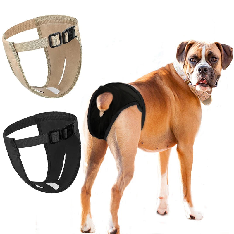 Female Dog Panties