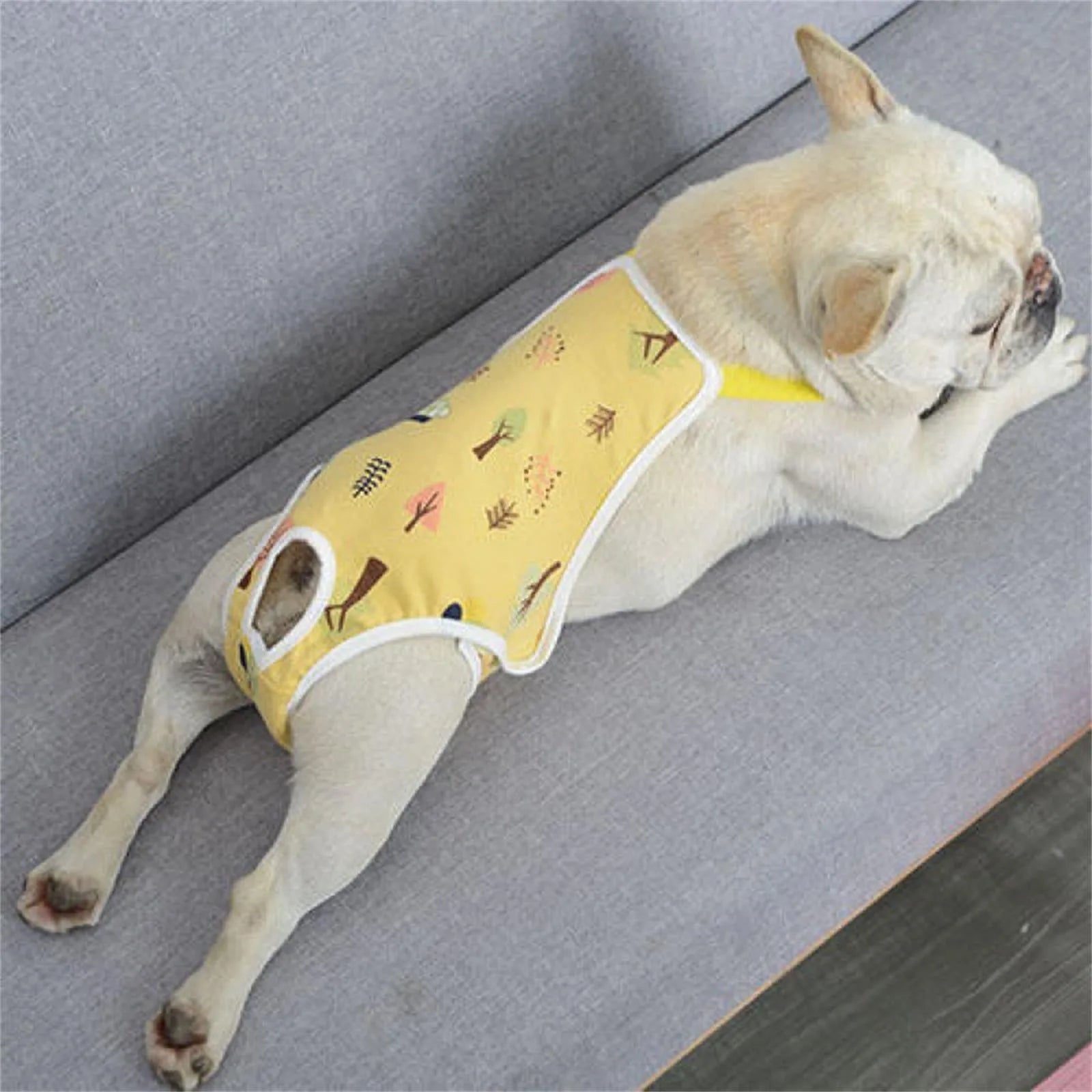 Unisex Pet Physiological Pants