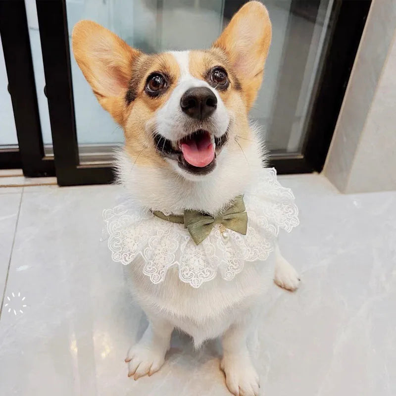 Cute Cat Bow Collar Lace