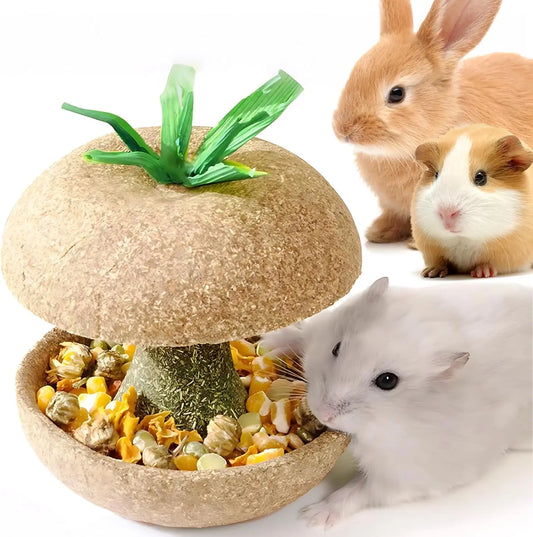 Apple Core Shaped Hamster Chew Toy - Natural Small Pet Dental Treat for Guinea Pig, Rabbit, Chinchilla, Rat
