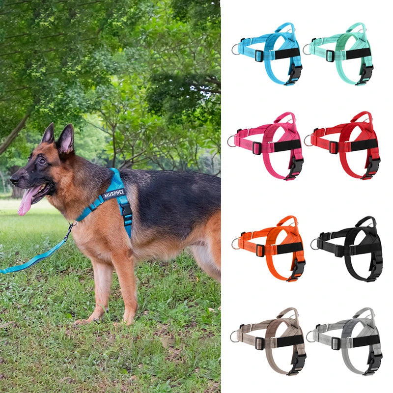 Personalized Reflective No Pull Harness