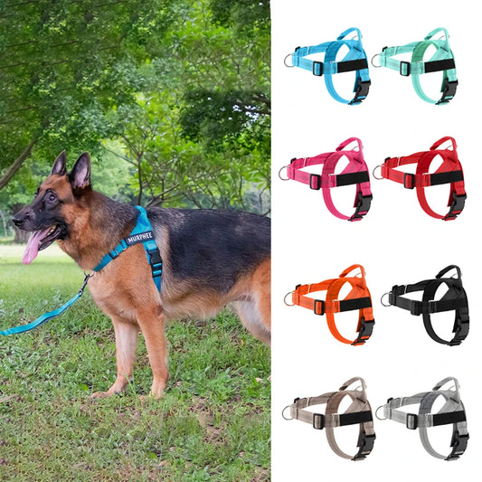 Personalized Reflective No Pull Harness