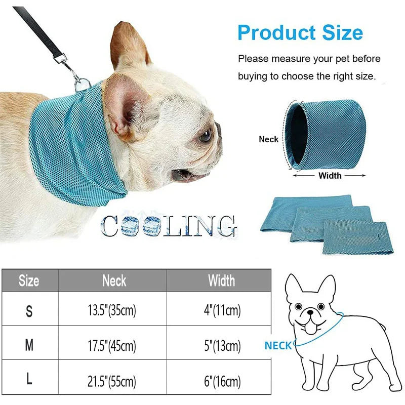 Summer Ice Dog Collar