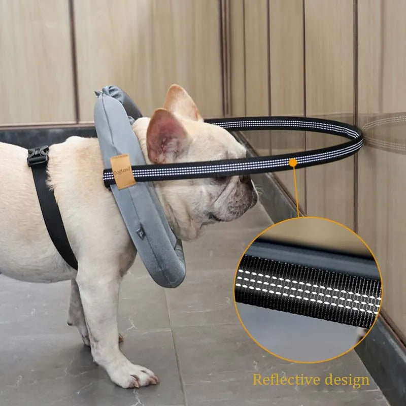 Blind Dog Collar