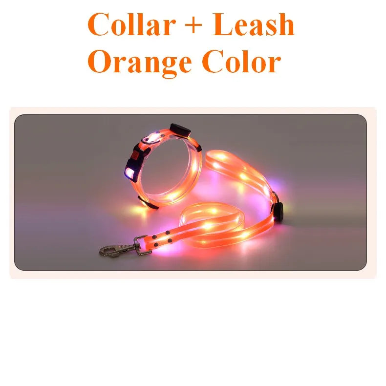 Pet Dog LED Light UP Leash
