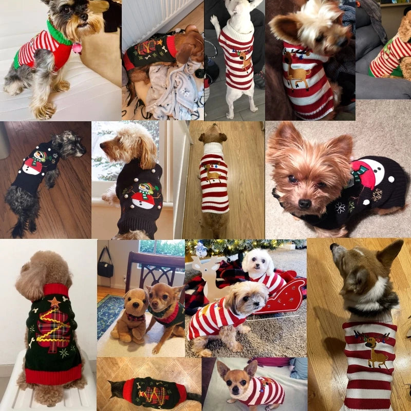 Dog Sweater Christmas
