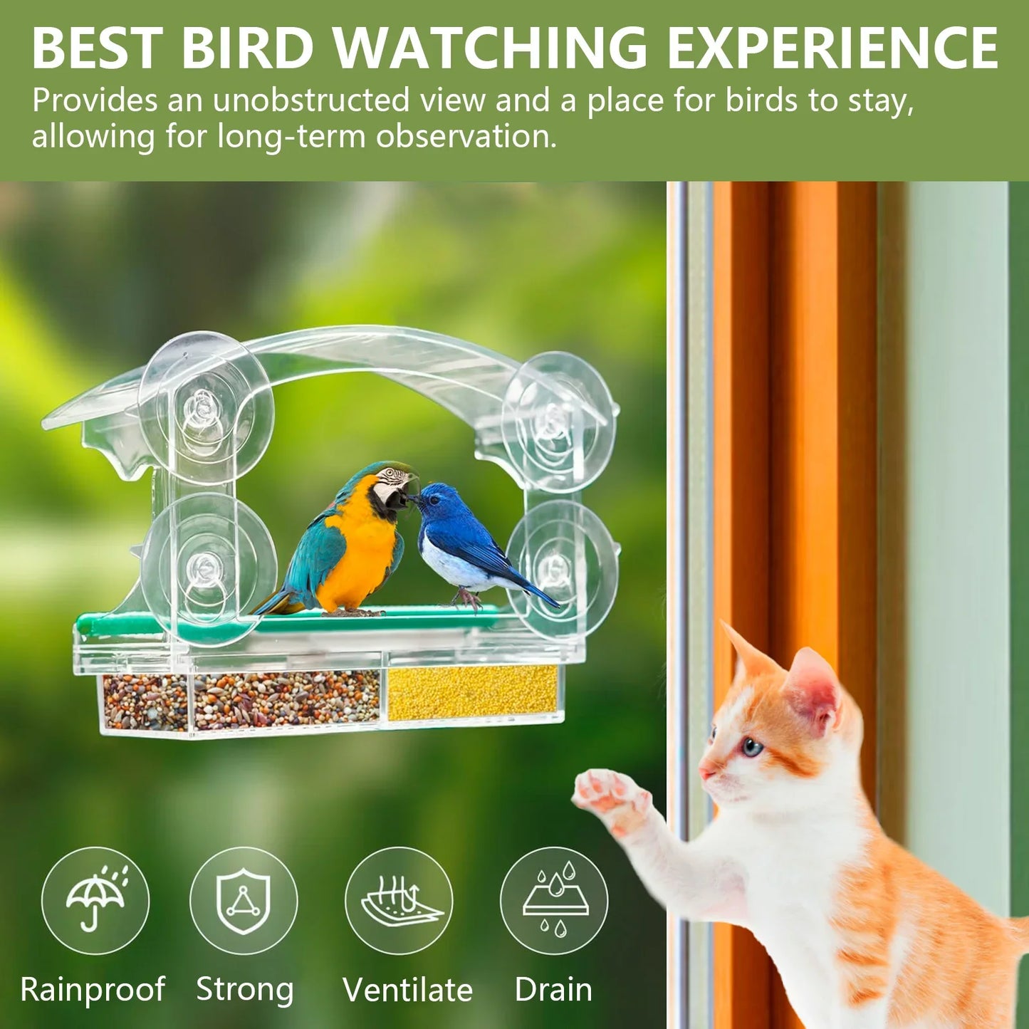 Acrylic Window Bird Feeder