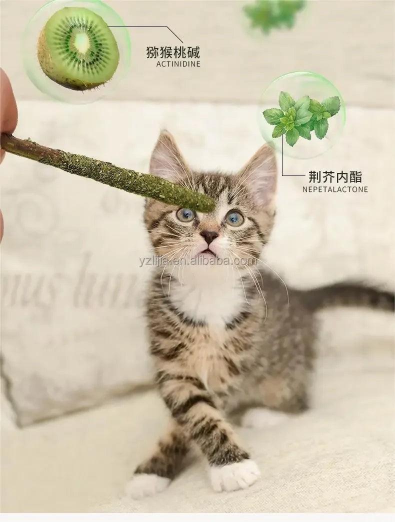 6pcs Natural Matatabi Cat Stick Mint