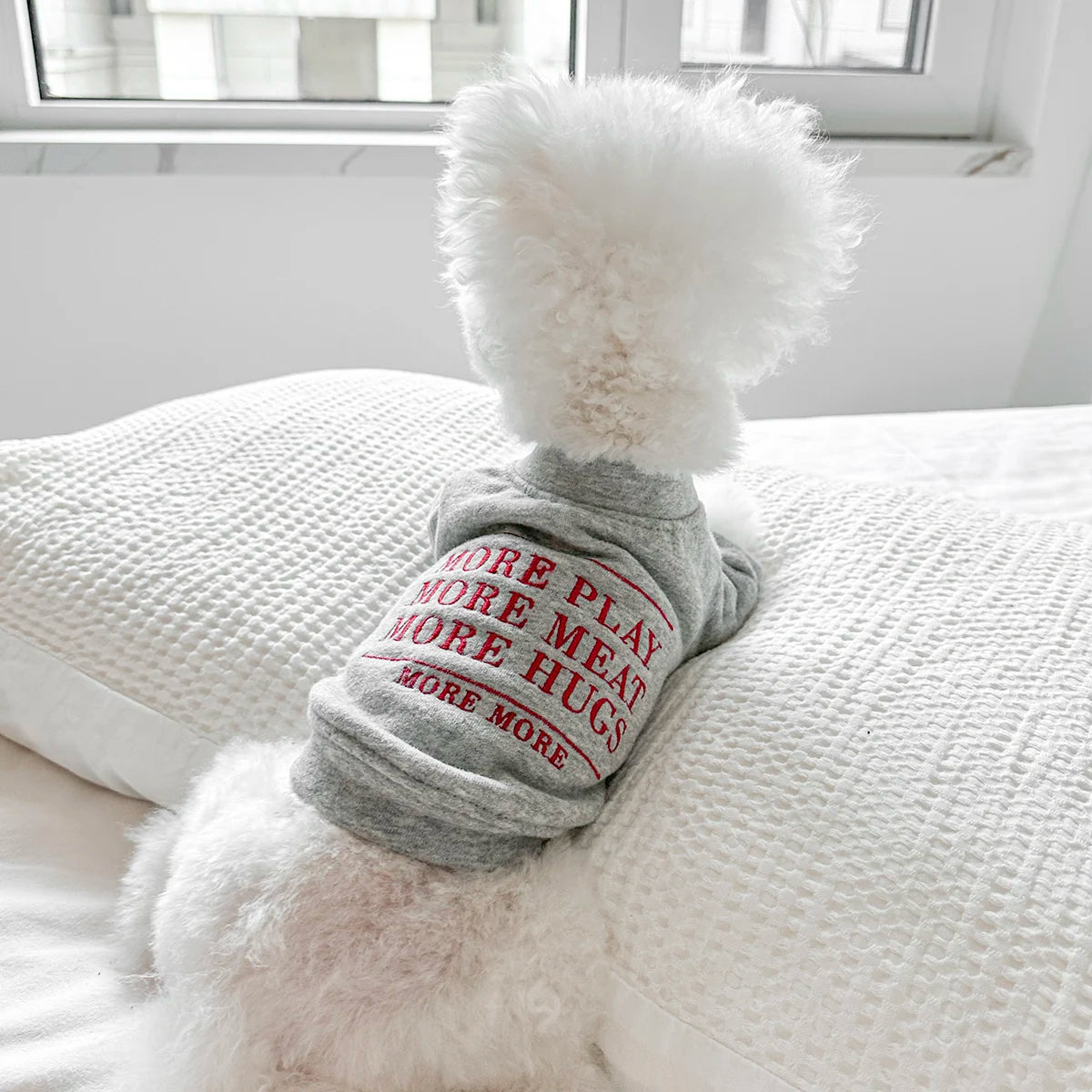 1Pc Pet Clothes Dog Cat