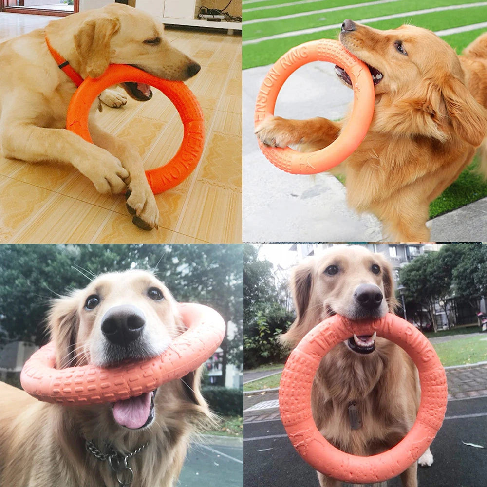 1pc Orange Dog Toys Pet Flying Disk