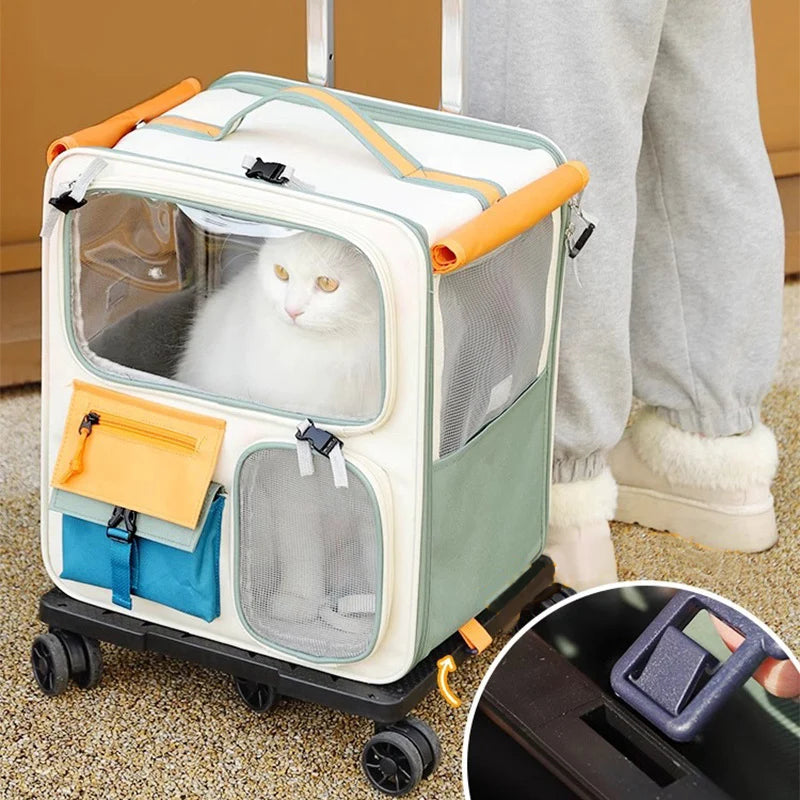 Cats Travel Bag Portable