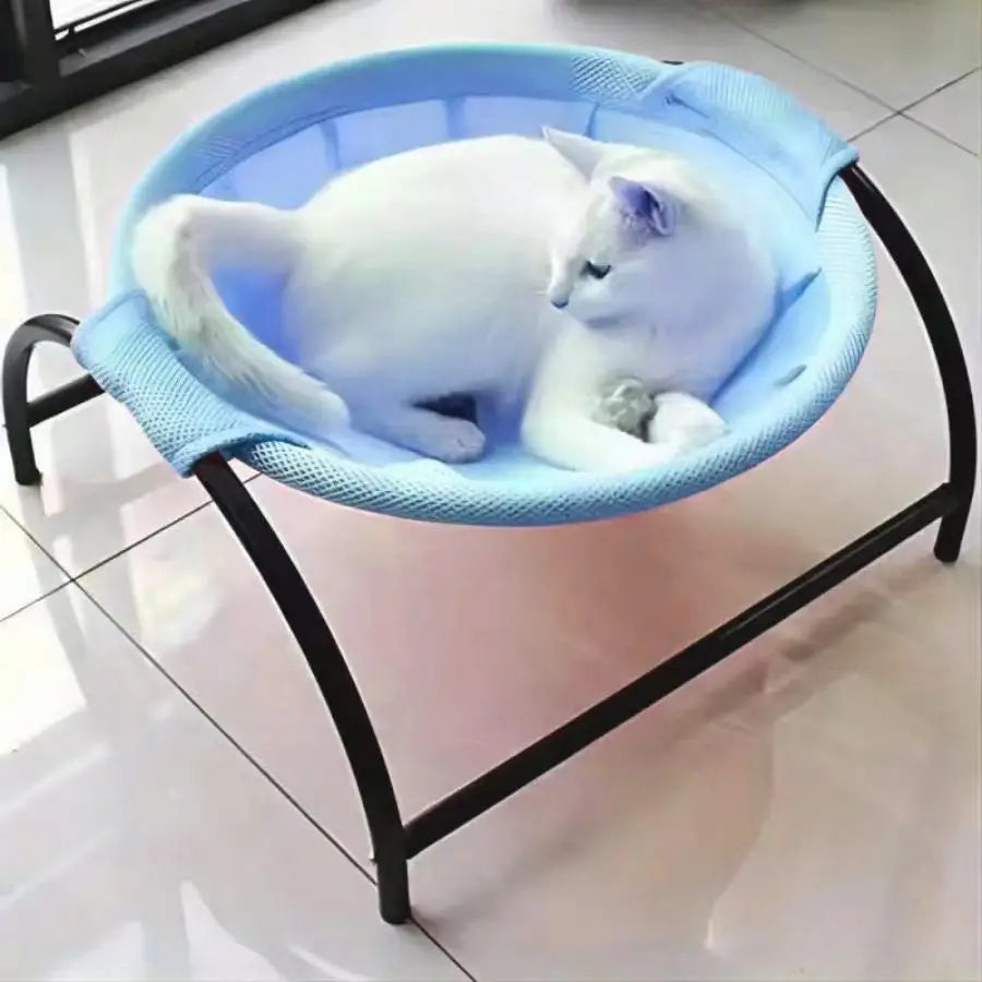 Cat Hammock